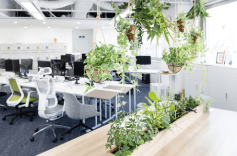 フェイクグリーンでオフィスに癒しを