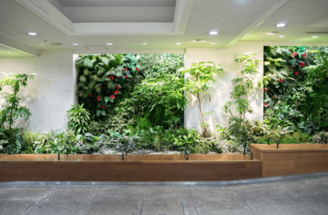 グリーンウォールで商業空間を彩る